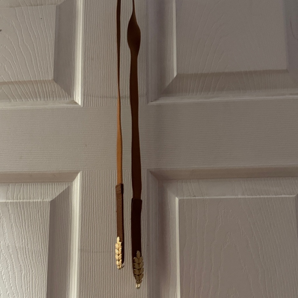 SHEIN Brown Belt with Gold Accents